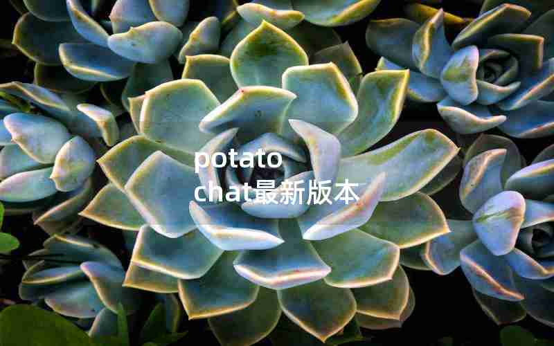 potato chat最新版本 potato chat最新版本