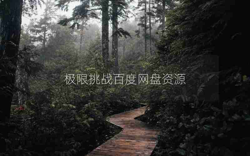 极限挑战百度网盘资源