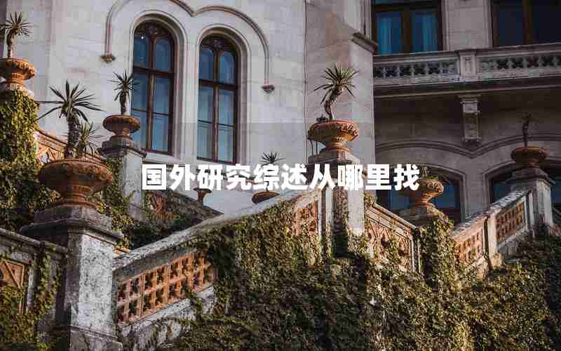 国外研究综述从哪里找