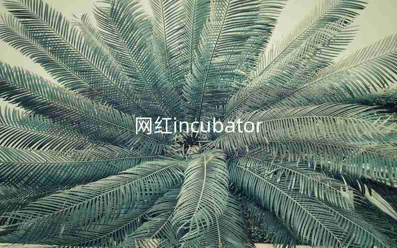 网红incubator