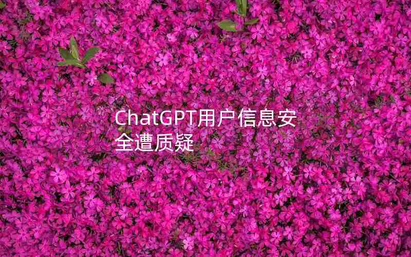 ChatGPT用户信息安全遭质疑