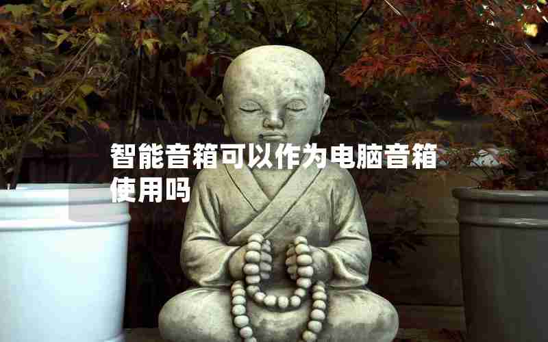 智能音箱可以作为电脑音箱使用吗