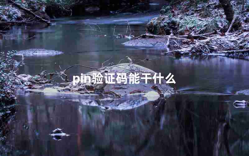 pin验证码能干什么 pin验证码能干什么