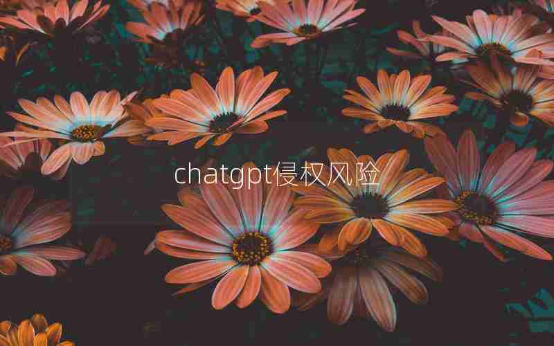 chatgpt侵权风险 chatgpt侵权风险