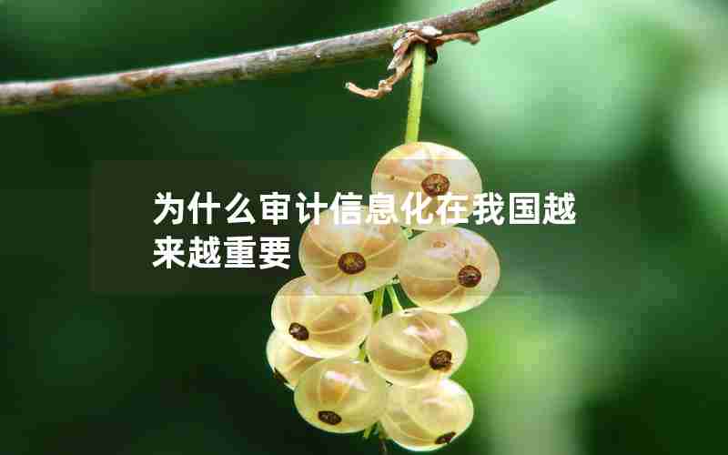 为什么审计信息化在我国越来越重要