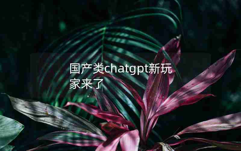 国产类chatgpt新玩家来了