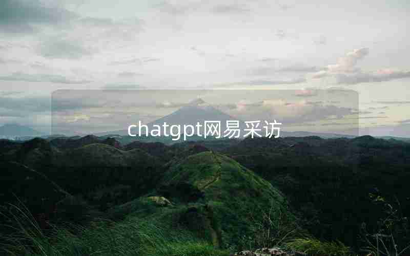chatgpt网易采访