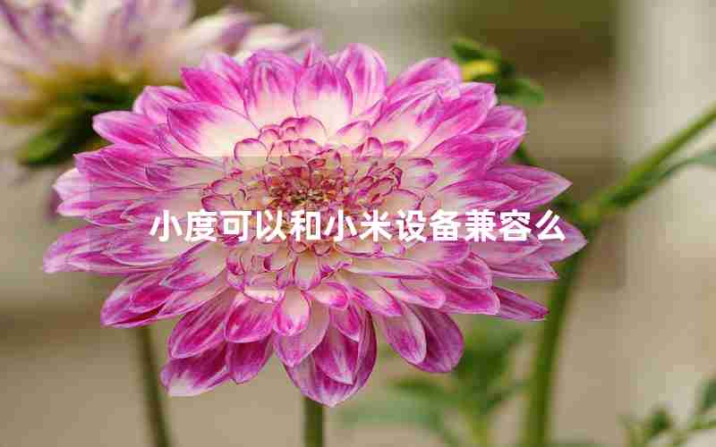 小度可以和小米设备兼容么 小度可以和小米设备兼容么