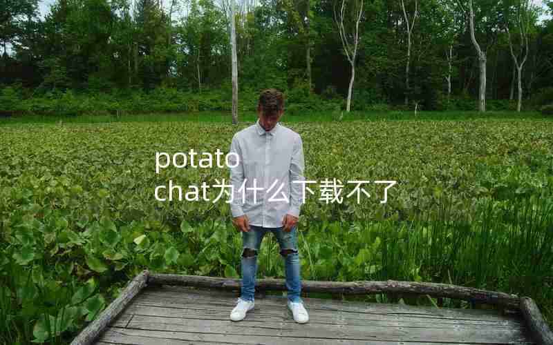 potato chat为什么下载不了 potato chat为什么下载不了