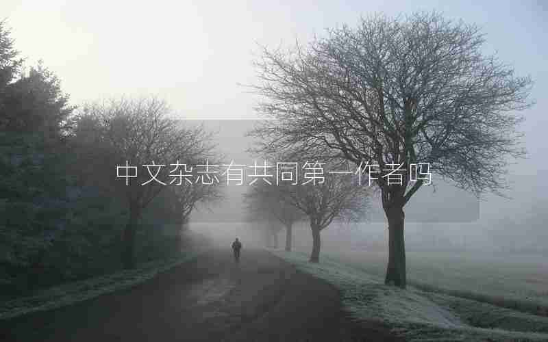 中文杂志有共同第一作者吗