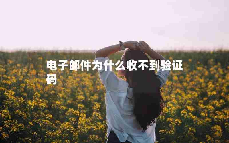 电子邮件为什么收不到验证码 电子邮件为什么收不到验证码