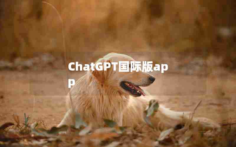 ChatGPT国际版app ChatGPT国际版app