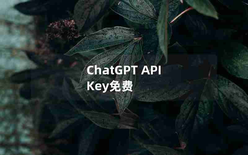 ChatGPT API Key免费 ChatGPT API Key免费