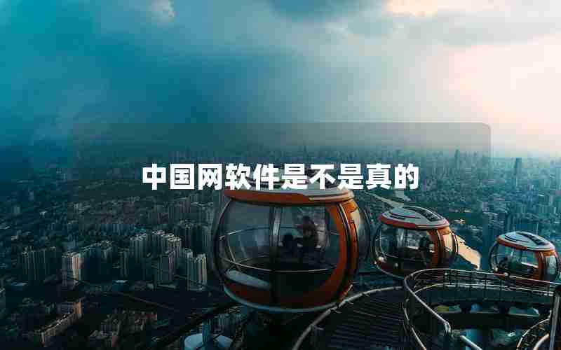 中国网软件是不是真的