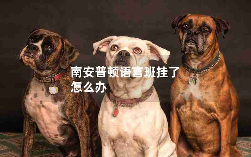 南安普顿语言班挂了 怎么办 南安普顿语言班挂了 怎么办