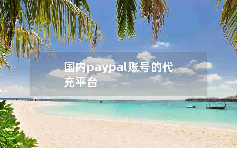 国内paypal账号的代充平台