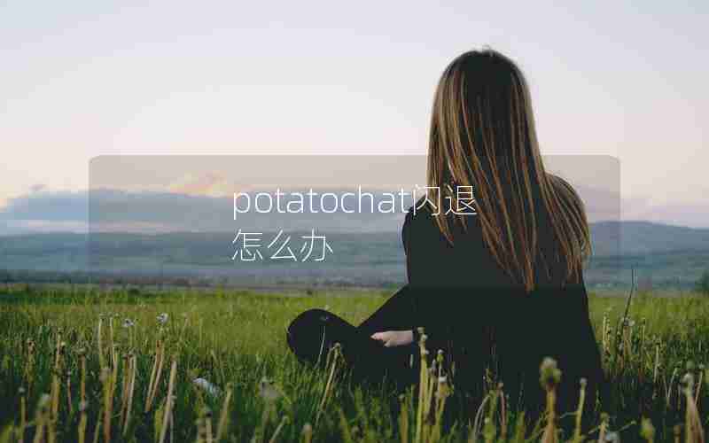 potatochat闪退怎么办