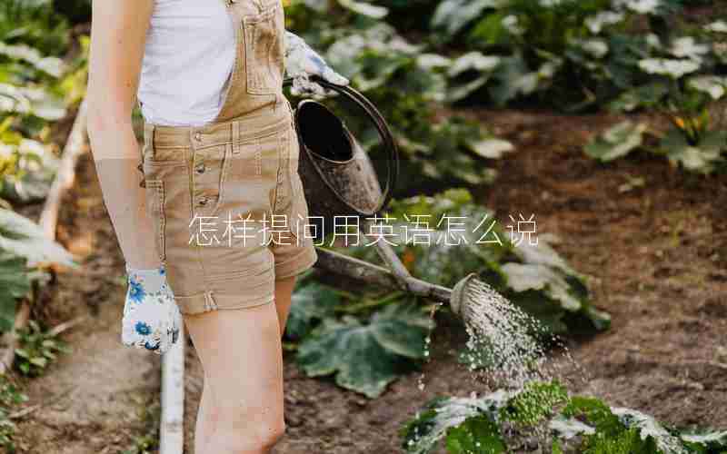 怎样提问用英语怎么说