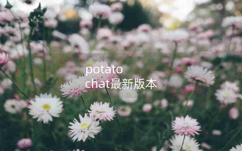 potato chat最新版本 potato chat最新版本