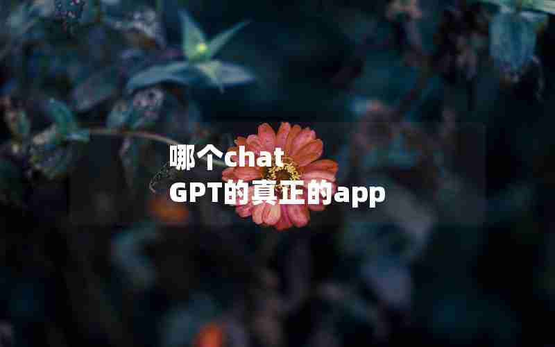 哪个chat GPT的真正的app