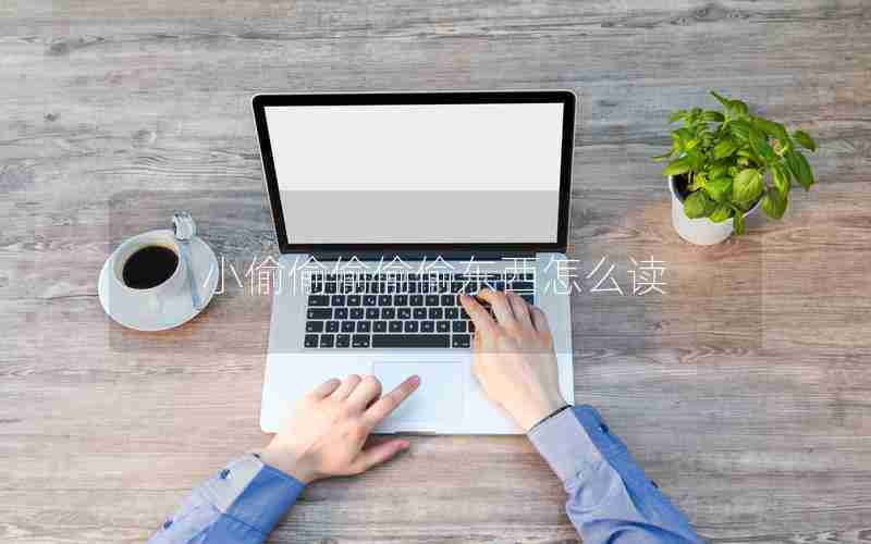 小偷偷偷偷偷东西怎么读