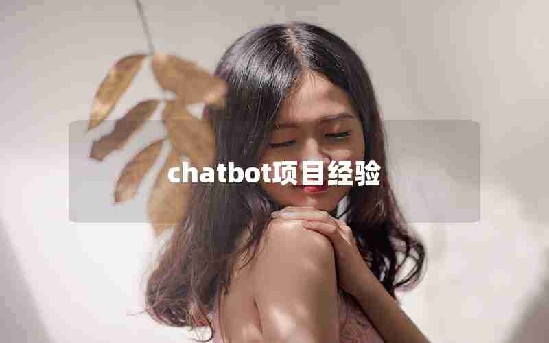 chatbot项目经验 chatbot项目经验