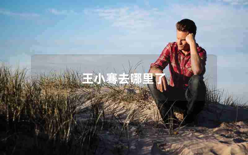王小骞去哪里了 王小骞去哪里了
