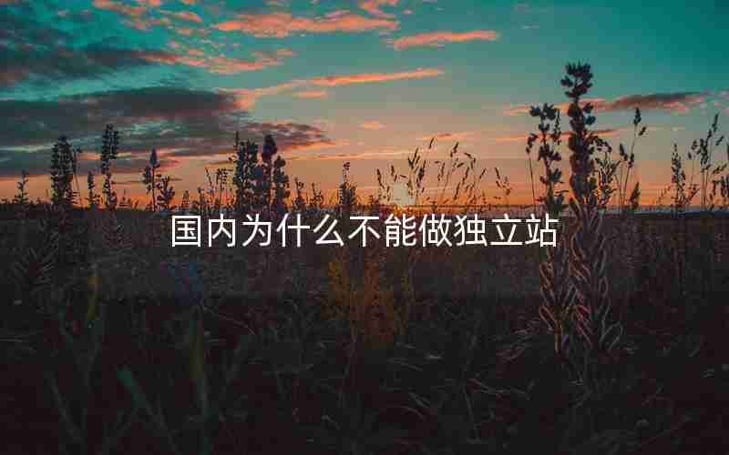 国内为什么不能做独立站