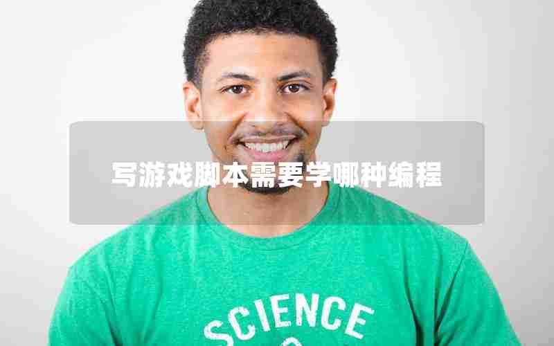 写游戏脚本需要学哪种编程