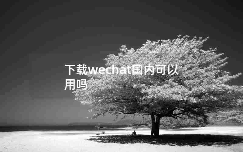 下载wechat国内可以用吗