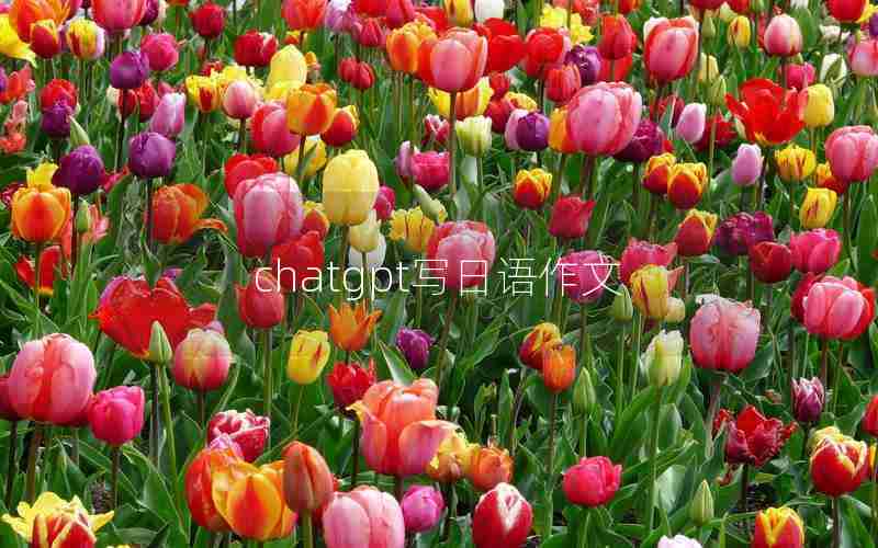 chatgpt写日语作文 chatgpt写日语作文