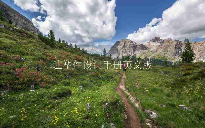 注塑件设计手册英文版