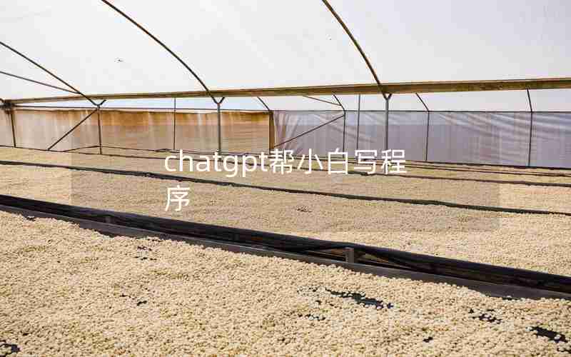 chatgpt帮小白写程序 chatgpt帮小白写程序