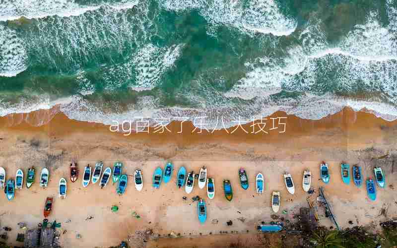 ag百家了乐八大技巧