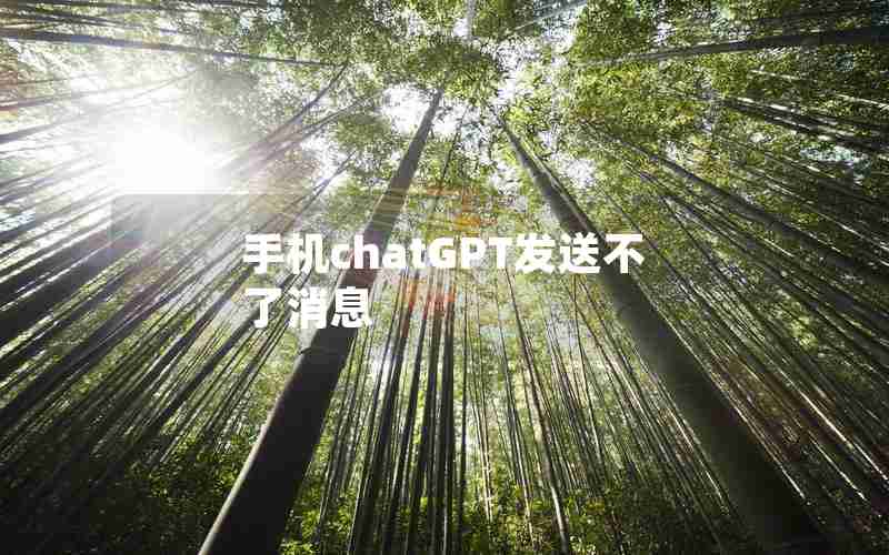 手机chatGPT发送不了消息 手机chatGPT发送不了消息