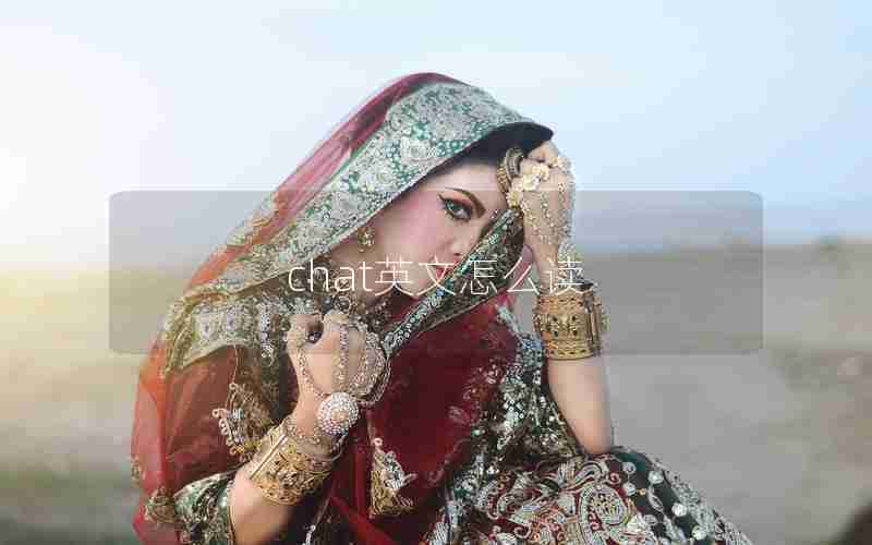 chat英文怎么读 chat英文怎么读