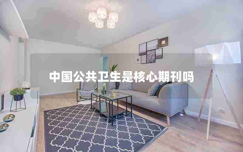 中国公共卫生是核心期刊吗