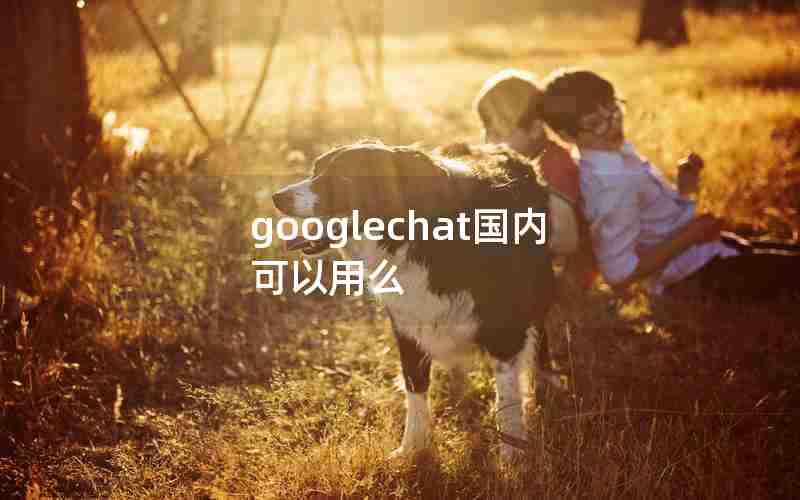 googlechat国内可以用么 googlechat国内可以用么