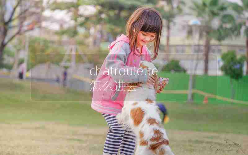chatroulette怎么进去 chatroulette怎么进去