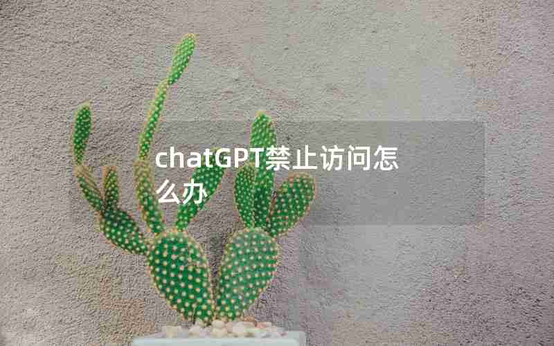 chatGPT禁止访问怎么办