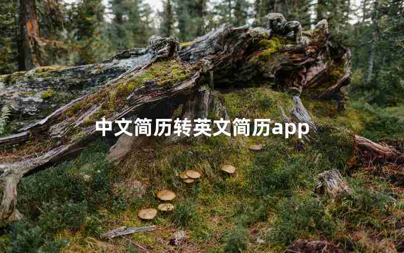 中文简历转英文简历app