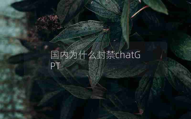 国内为什么封禁chatGPT 国内为什么封禁chatGPT