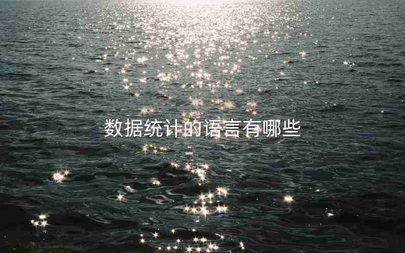 数据统计的语言有哪些