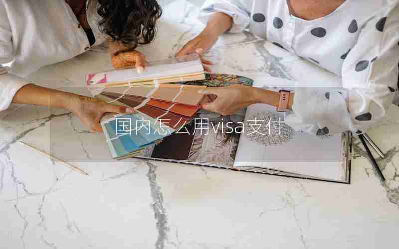 国内怎么用visa支付 国内怎么用visa支付
