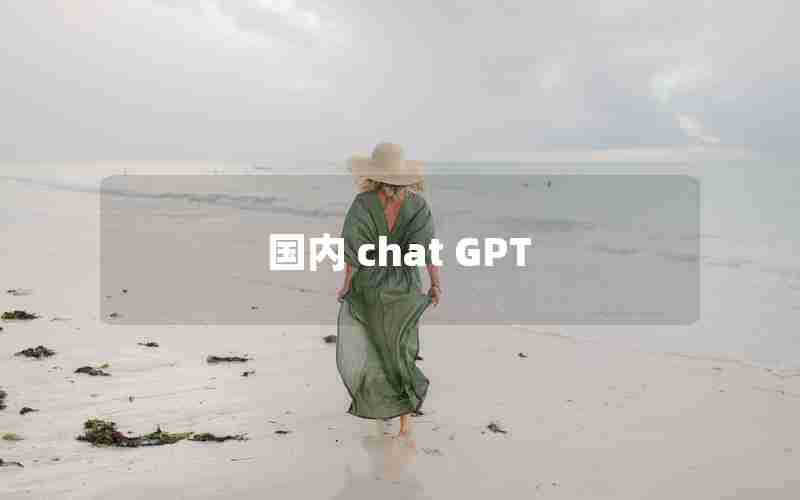 国内 chat GPT 国内 chat GPT