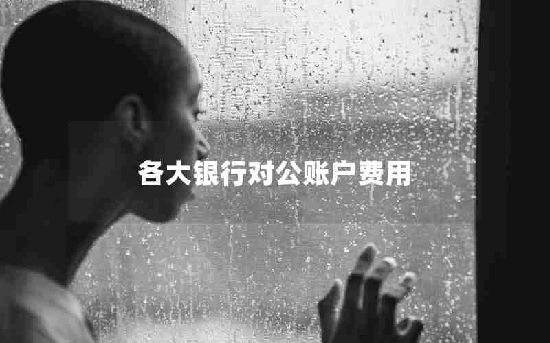 各大银行对公账户费用 各大银行对公账户费用