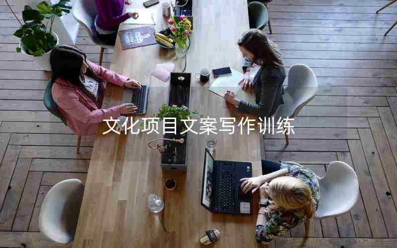文化项目文案写作训练 文化项目文案写作训练