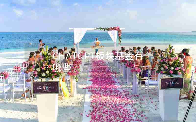 CHATGPT板块基金有哪些