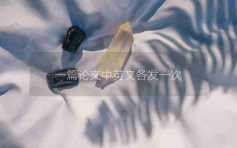 一篇论文中英文各发一次