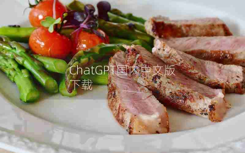 ChatGPT国内中文版下载 ChatGPT国内中文版下载